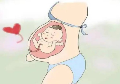 甲亢严重的影响女性的生育？试管助孕可以不可以？